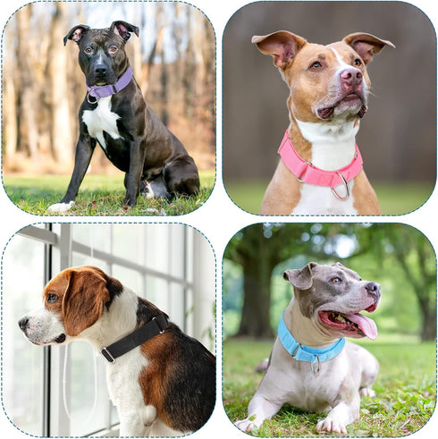 Cunno 12 Pcs Reflective Martingale Collar for Medium Dogs, Adjustable Nylon Pet Collar, Prevent Slipping Out, 12 Colors