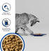 BIXBI Rawbble Freeze Dried Cat Food, Turkey Recipe, 3.5 oz - 94% Meat and Organs, No Fillers, USA Made