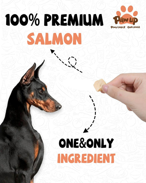 Omega-3 3.8 oz PAWUP Freeze Dried Salmon Dog Treats, Single Ingredient Salmon Treats for Dogs, Dog Food Topper, Rich