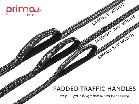 Reflective Nylon Leash for Dogs, 6 Feet Long, 1 Inch Width, Thick Neoprene Dual Handles