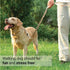 SVD.PET Adjustable No-Pull Dog Prong Collar with Quick-Release Buckle for Small Dogs (Tan, Small Size)