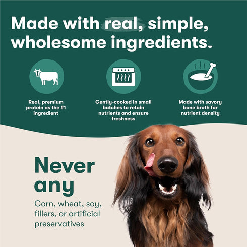 9oz, 6 Pack Jinx Beef & Chicken Grain Free Wet Dog Food Pouches, Meal or Dog Food Topper Mix-in, Made with Real Beef