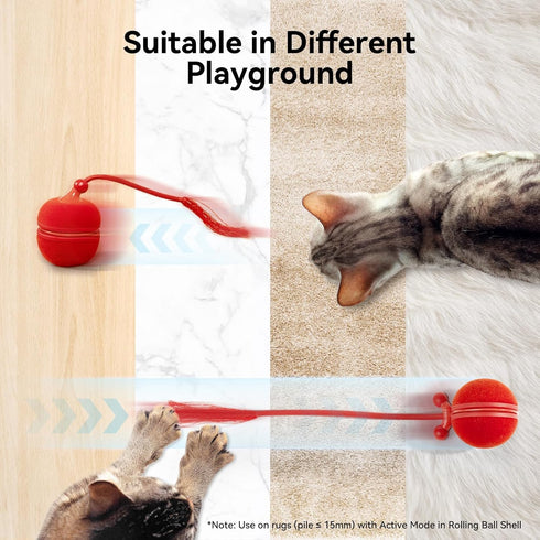 2 1 Duo2 Cheerble in Interactive Cat Toys for Indoor Cats - Wicked Ball Automatic Cat Toy, Dual Interchangeable Shells
