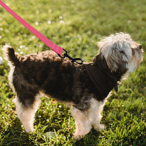 Mile High Life Heavy Duty Dog Leash for Large and Medium Dogs, Reflective Leash for Night Safety (4FT x 3/5''Wide, Hot