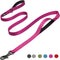 Fida 6 FT Heavy Duty Dog Leash - Rose | 2 Padded Handles, Traffic Handle & Easy Snap Hook | Reflective Lead for All