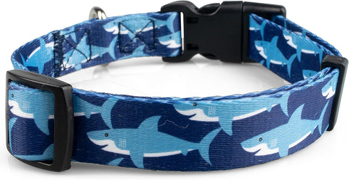 Limeloot Sharks Dog Collar, Summer Themed Dog Collar for Male and Female Dogs, Medium