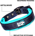 Black Rhino Adjustable Reflective Dog Collars for Medium Dogs - Heavy Duty with Ultra-Soft Neoprene Padding - Aqua and