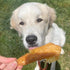16 oz (Pack 1) Best Bully Sticks Chicken Fillets, All-Natural Jerky Dog Treats - of Bag of Premium Chicken Strips
