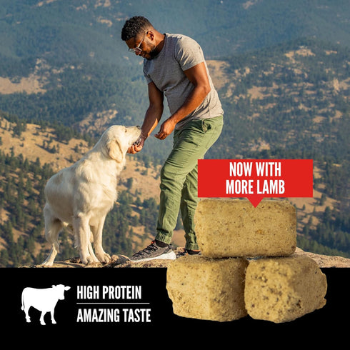 ORIJEN Grain Free High Protein Freeze Dried Dog Treats - Regional Red Recipe, 3.25oz Bag
