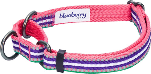 Blueberry Pet 4 Colors 3M Reflective Multi-colored Stripe Martingale Safety Training Dog Collar, Large, Pink Emerald