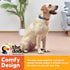 The Dodo Cork Dog Collar, Medium Size, Adjustable Snap Together, Pinch Release Buckle, Stripe Design