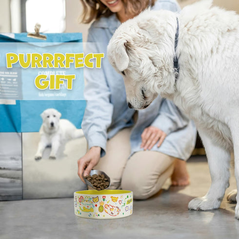 Cute Small Dog Bowl Set - Ceramic Water and Food Bowls for Small Pets, Heavy Cat Bowls, Dishwasher Safe, Green & White
