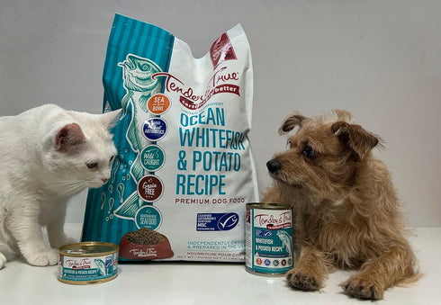 Tender & True Ocean Whitefish & Potato Recipe Cat Food, 3 lb