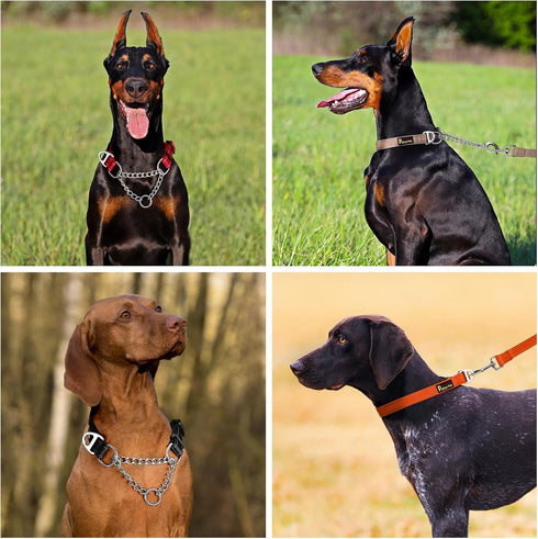 Plutus Pet Martingale Dog Collar with Stainless Steel Chain, Adjustable No Pull Training Collar for Small Medium Large