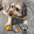 SPOT 4in, 1 Butterballs Forest Animals Dog Toy-Soft, Stuffed, Squeaky, Plush Fabric Toy for Mini and Small Dogs
