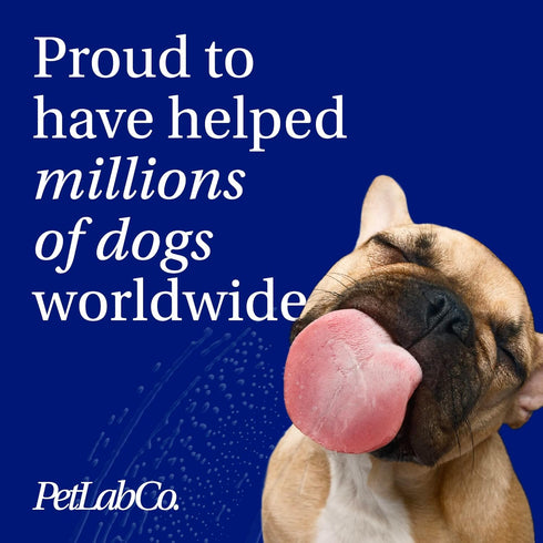 PetLab Co. Allergy & Immune Probiotics for Dogs - 30 Soft Chews to Support Seasonal Allergies, Gut & Digestive Health