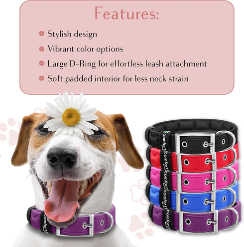 Comfort Fit Dog Collar - Soft Padded Adjustable Buckle Collar, Lightweight, Durable - Purple, Large