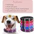 Comfort Fit Dog Collar - Soft Padded Adjustable Buckle Collar, Lightweight, Durable - Purple, Large