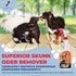 Skunk Away - Skunk Odor Remover, Easy to Use Pet Spray Bottle, 16oz by KennelSol