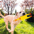 MCPINKY 3PCS Rubber Chicken Dog Toys, Squeaky Prank Novelty Toy for Noise Maker Dog Toys