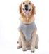 Star Wars for Pets 'You R2 Cool' Gray Dog Tank, X-Large, Soft and Comfortable Dog Shirt for Large Dogs