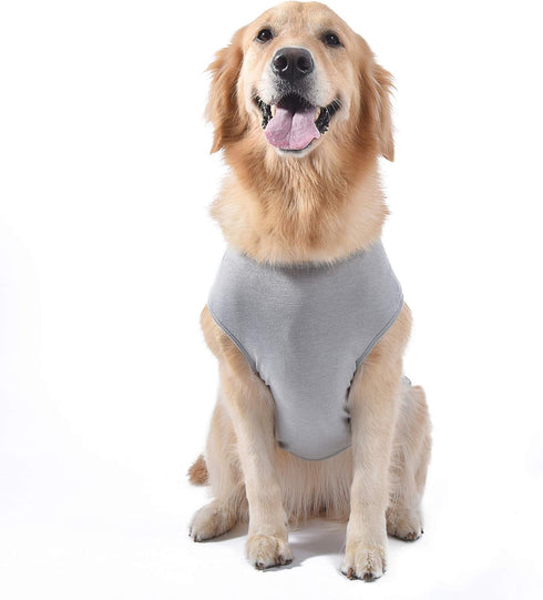 Star Wars for Pets Dog Tank, "You R2 Cool" Gray Shirt for Large Dogs, Soft, Cute, Comfortable Dog Clothing