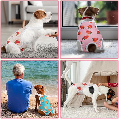Jollywoods 3 Pack Washable Female Dog Diaper Onesie Sanitary Pantie with Adjustable Suspender, Reusable Fixed Doggie