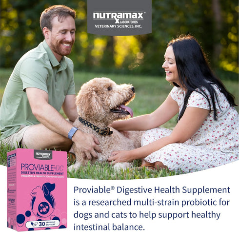 30 Nutramax Proviable Probiotics for Dogs and Cats, Daily Digestive Health Supplement with Multiple Strains