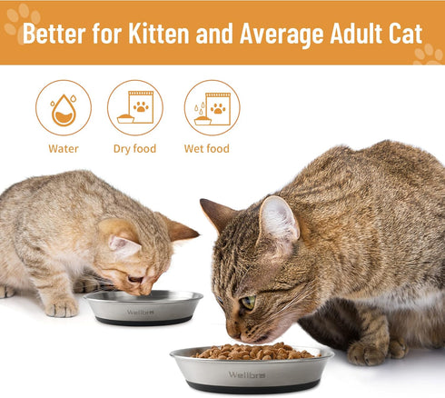Cat Bowls, 2 Pcs Stainless Steel Bowls for Food and Water, Non-Slip Shallow Dishes for Small Dogs and Cats