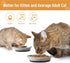 Cat Bowls, 2 Pcs Stainless Steel Bowls for Food and Water, Non-Slip Shallow Dishes for Small Dogs and Cats