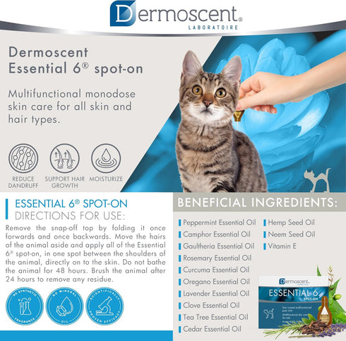 6 Bayer Dermoscent Essential Spot On Skin Care for Cats Pet Itch Remedies