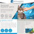 6 Bayer Dermoscent Essential Spot On Skin Care for Cats Pet Itch Remedies