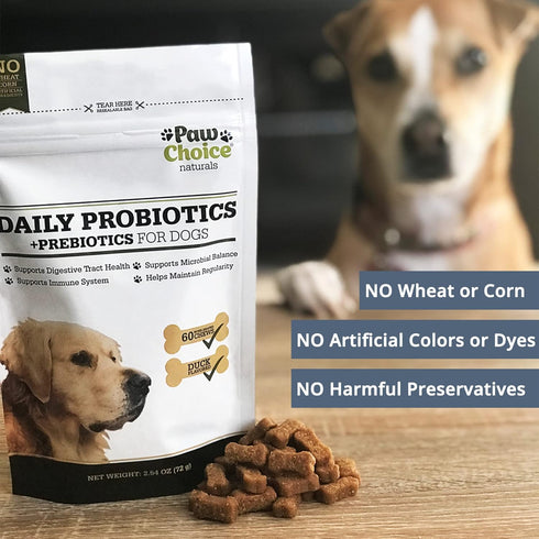 Paw Choice Probiotics for Dogs - Daily Chews for Gut Health, Digestion, and Immune Support