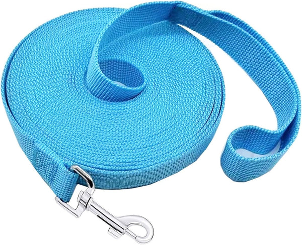SALO Nylon Training Dog Leash, 20ft Sky Blue, 1 Inch Wide for Small Medium Large Dogs, Obedience Training