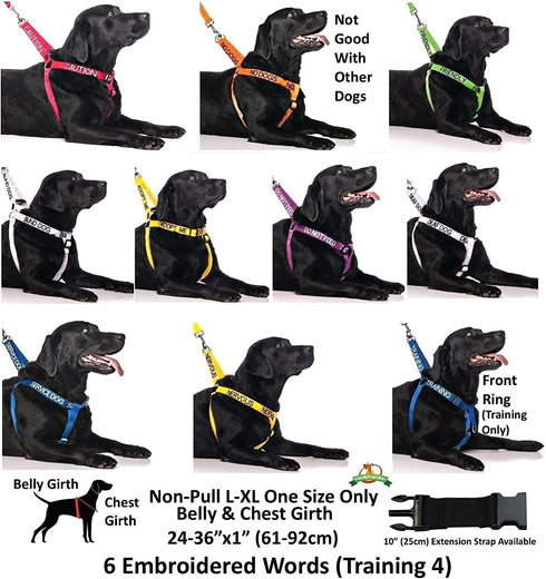 Color Coded Dog Accident Prevention Leash 4ft/1.2m, Caution Dexil Friendly Dog Collars