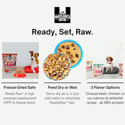 96% Nature's Diet Ready Raw Freeze-Dried Raw Dog Food, Beef, Human Grade, High Pressure Pasteurized (HPP), Meat, Organ
