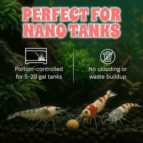 100% 2 oz Snout and Shell Bee Pollen Nuggets for Shrimp Tanks Natural Shrimp Superfood Supplement Boosts Color, Molting