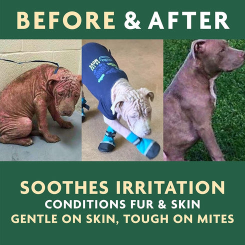 EcoMange Mange Relief for Dogs & Cats - 8 Oz. Itch Relief Spray with Herbal Extract & Essential Oil