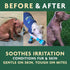 EcoMange Mange Relief for Dogs & Cats - 8 Oz. Itch Relief Spray with Herbal Extract & Essential Oil