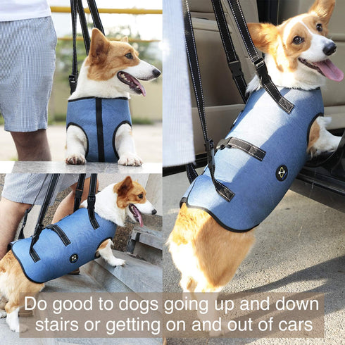 Coodeo Dog Lift Harness - Pet Support & Rehabilitation Sling Lift for Old, Disabled Dogs (Blue, S)