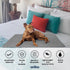 Waterproof Blanket for Dogs, 35" x 35" Anti-Slip Pet Mat Cover for Sofa, Chair, and Furniture Protection