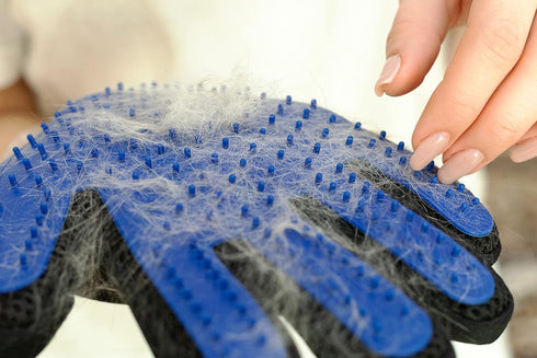 PAIR of Low-Cost Pet Grooming Gloves, Ideal for Grooming, Deshedding, Bathing & Massaging Dogs & Cats, Blue