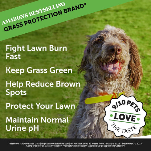 Pet Honesty Grass Green Max Strength Burn Spot Chews, 90 ct - Dog Pee Lawn Spot Saver Supplement with Probiotics