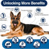 3 200 Omega Skin and Coat Supplement for Dogs Chews Dog Fish Oil Supplements with EPA & DHA Fatty Acids Dry Skin Relief