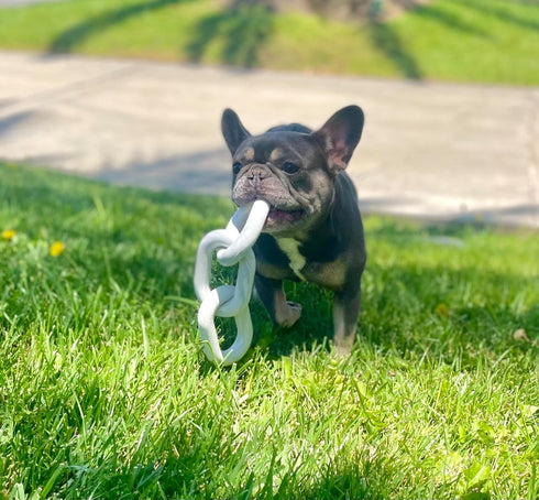 Tug of War Dog Chew Toy, Natural Rubber Heavy Duty Marble Links, Aesthetically Pleasing for Small, Medium, Large Dogs