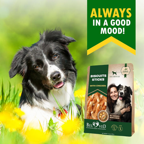 Biscuits Sticks Dog Treats, Chicken Wrapped, Human Grade Meat, Natural Dried Snacks, Rawhide-Free, Grain-Free