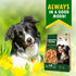 Biscuits Sticks Dog Treats, Chicken Wrapped, Human Grade Meat, Natural Dried Snacks, Rawhide-Free, Grain-Free