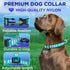 TECEUM Reflective Pet Collar – Basic Nylon Dog Collar – Quick Release Buckle – Teal - ESA – L – Fits Small, Medium and