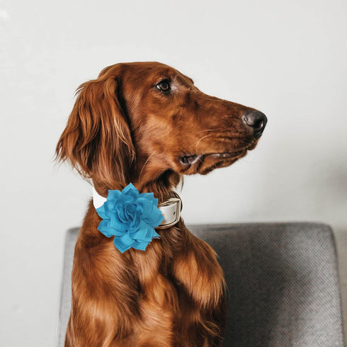 Dog Collar Flowers Attachment Set, Cat Bow Tie Flora Accessories for Grooming (OD 8cm, 4pcs)