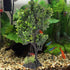 Ipetboom Green Artificial Plastic Plants, Aquarium Bonsai Tree Plant Fish Tank Decorations for Goldfish Betta